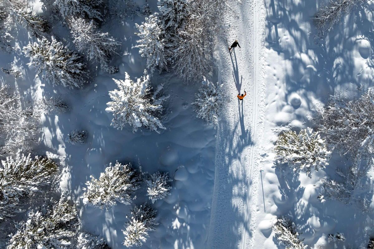 Web optimiert-Pontresina_Langlauf_Morteratsch (37)